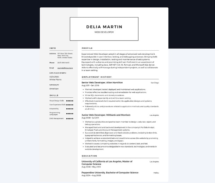 レジュメのサンプル