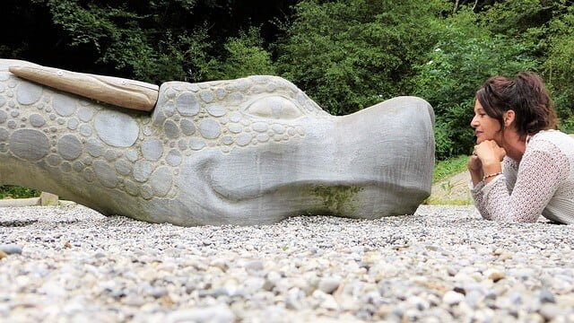 おすすめ英語勉強方法 - 動物や物に話しかける